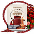 Queeny Red Lime Zinnia Seeds, Zinnia Elegans, Queeny Series