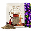 Morning Glory, Grandpa Ott Heirloom Seeds, Flower Seeds, Vine