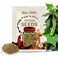 Organic Mini-Me Cucumber Seeds, 10+ Seeds, Vegetable Seeds, Organic Seeds, Non GMO, Garden Seeds, USA Grown