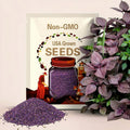 Purple Shiso Herb Seeds - Organic, Heirloom, Open Pollinated, Non GMO - Grow Indoors, Outdoors, In Pots, Grow Beds, Hydroponics, Aquaponics