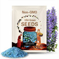 Baby Blue Eyes | 200 Seeds | Heirloom Flower | Native Wildflower | Nemophila menziesii