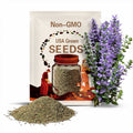 Creeping Thyme Seeds - Easy-Grow Fragrant Ground Cover Plants- Thymus Serpyllum 25 seeds