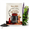 Bulk Black Beans Seeds, Frijoles Negros, Phaseolus vulgaris PV0450