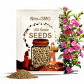 Camelia Impatiens Seeds: Non-GMO Garden Flower Mix