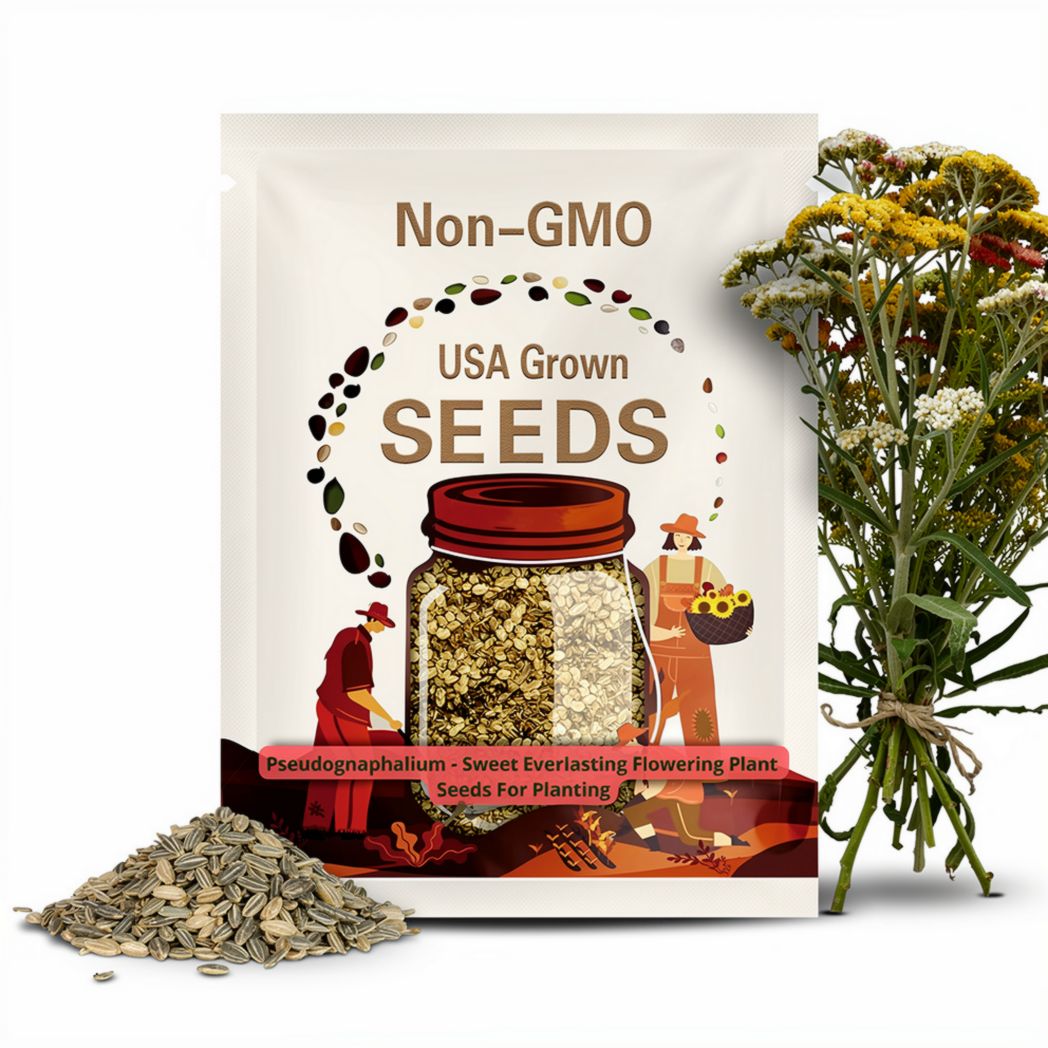 30 mg Sweet Everlasting Seeds | Pseudognaphalium obtusifolium | Fragrant Native Wildflower | Dried Flower Favorite | Easy to Grow