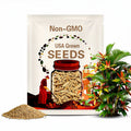 Organic Tropical Sunset Tomato -  20 seeds