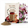 Scabiosa QIS Mix Seed