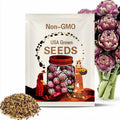 Purple Italian Globe Artichoke Seeds, Heirloom, Non GMO, Cynara cardunculus