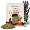 Vervain, Hoary - 100 Seeds - Heirloom Native Flower, Verbena Stricta, Blue Spikes, Prairie Garden, Native Perennial, Self-Seeds, Non-GMO