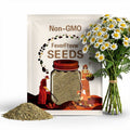 Feverfew Seeds - Heirloom Seeds, Medicinal Herb Seeds, Herbal Tea, Herbal Remedy, Open Pollinated, Non-GMO