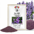 Purple Tall New England Aster  Seeds - 25+ seeds