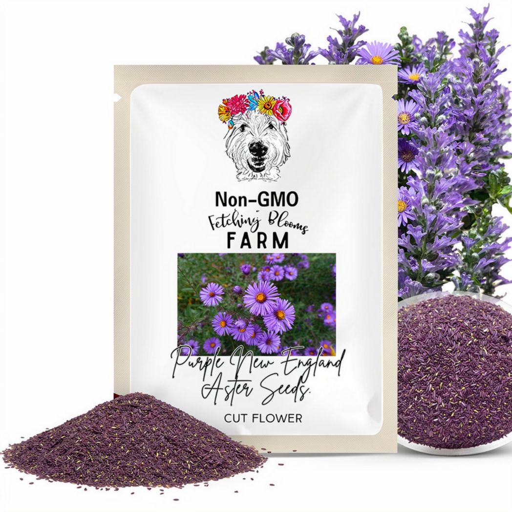 Purple Tall New England Aster  Seeds - 25+ seeds