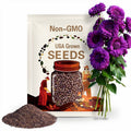 45 Purple Giant Teddy Bear Sunflower Seeds | Rare Heirloom Variety