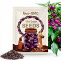 Purple Beauty Sweet Pepper seeds