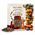 Uncommon Colorful Pumpkin Seeds: 10+ Varieties (50+ Seeds)