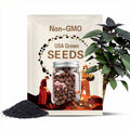 20 Black Walnut Tree Seeds Juglans Nigar Organic Seeds Premium for Planting Nut Garden  Sustainable