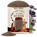 Poppy Amazing Grey  Poppy flower seeds Heirloom  USA NJ Seller check my store for the largest selection