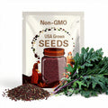 Red Russian Kale Heirloom Seeds