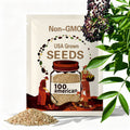 100 American Elderberry Seeds (Sambucus canadensis) – Native Shrub for Hedges, Wildlife Habitat, and Ornamental Landscaping