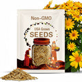 20 Seeds Tithonia Diversifolia Seeds: Mexican Sunflower, Fast Growing Blooms