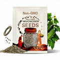 Muncher Cucumber Seeds (Heirloom)