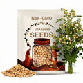Garbanzo Bean Seeds Organic