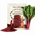 Ruby Red Swiss Chard Seeds – Heirloom, Open Pollinated, Non-GMO, Ruby Red Stems, Garden Favorite | 100 Seeds