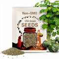 Organic Kabocha Squash Seeds: Sweet Jade, Green Striped Fruits